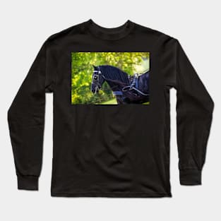 Black Beauty Long Sleeve T-Shirt